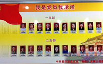 泛亚电竞集团党委开展党员承诺活动